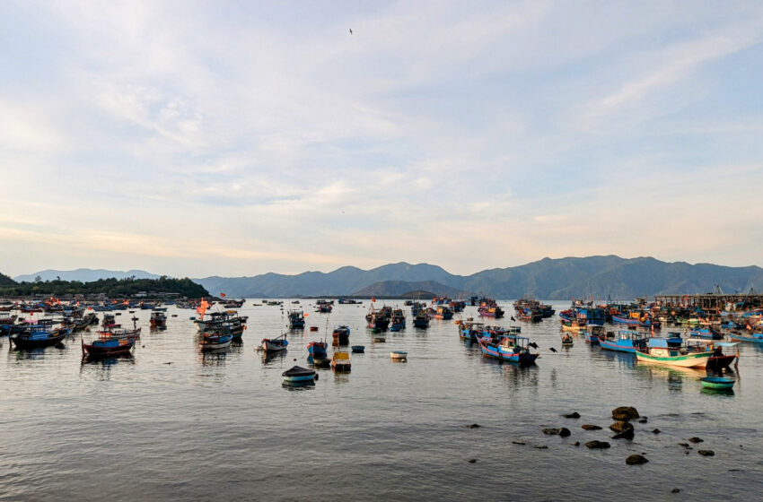  Đến Nha Trang dạo chơi bến cá, làng chài